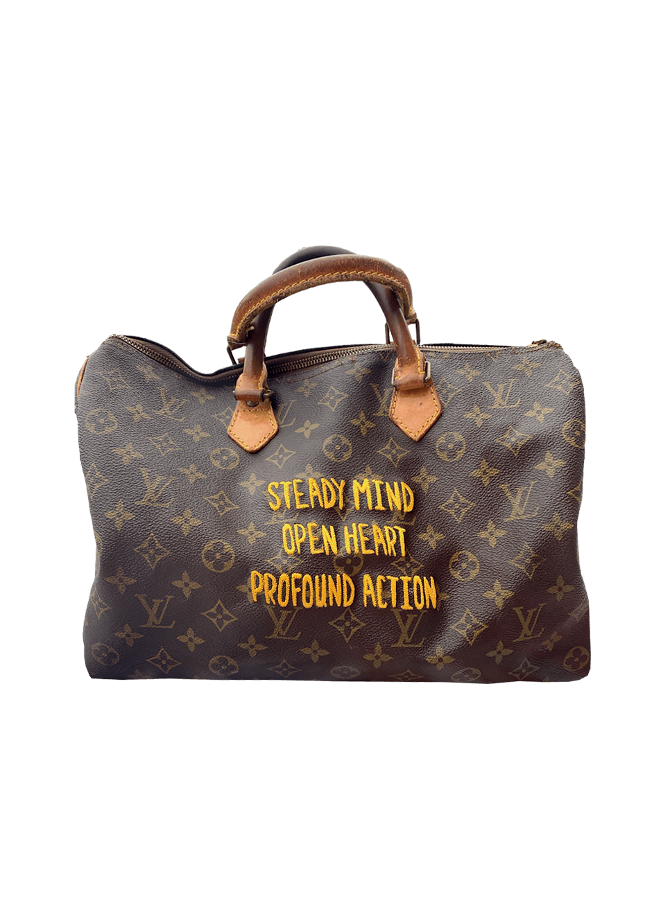 CBONZ - Custom Embroidered Louis Vuitton Speedy 25 Purse