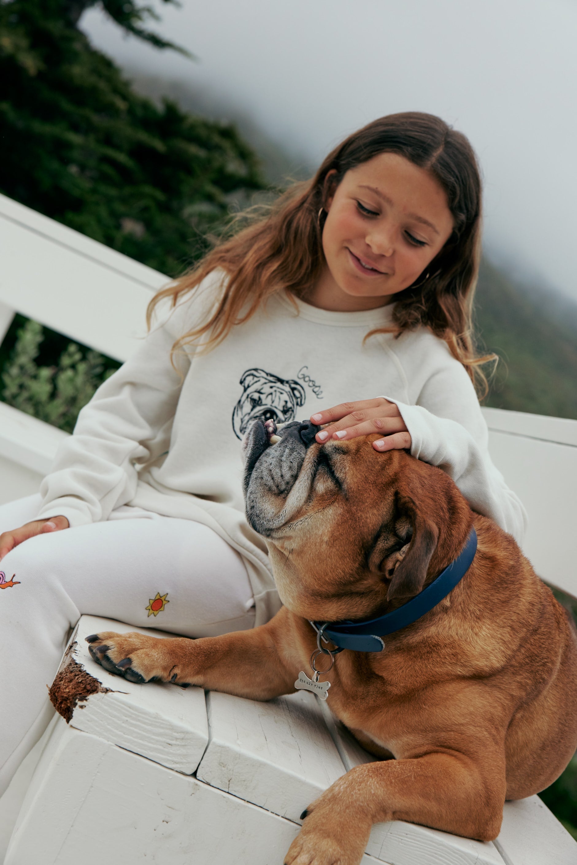 Pet Portraits | C.Bonz