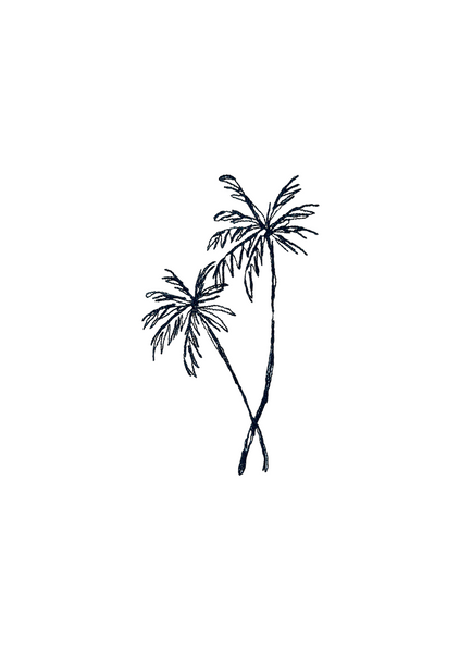 Palms Classic Cut Shorts