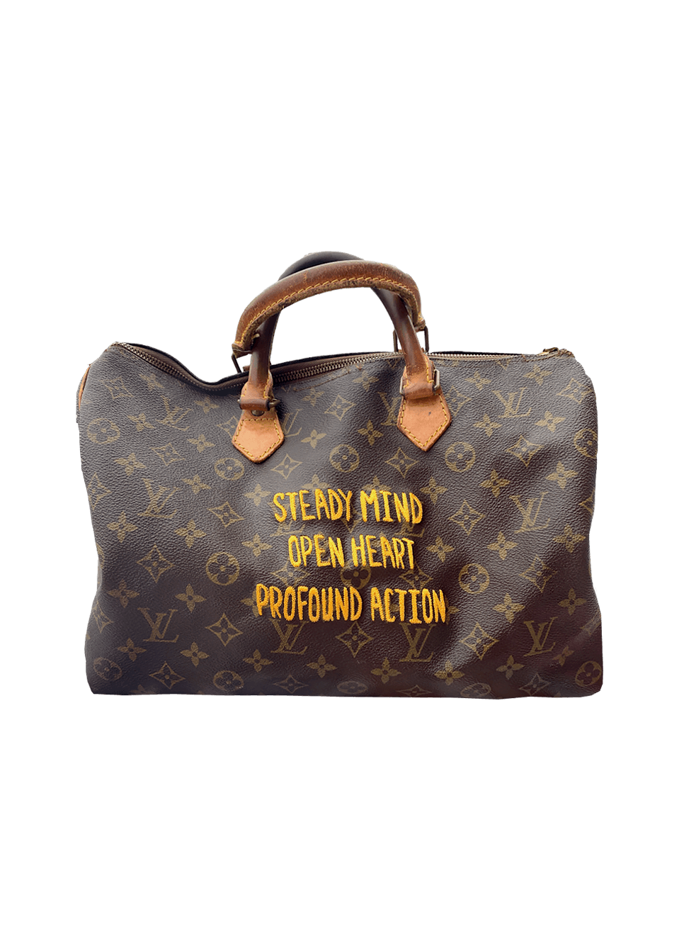 Louis Vuitton, Bags, Custom Louis Vuitton Speedy 25